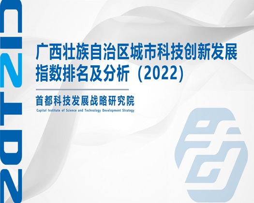 中国中年夫妻日逼高清视频免费看【成果发布】广西壮族自治区城市科技创新发展指数排名及分析（2022）